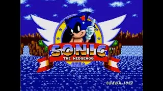P&eacute;ter The Hedgehog in Sonic 1 Full Walkthrough