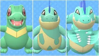 FULL TOTODILE EVOLUTION TEAM! Shiny Totodile, Shiny Croconaw, Shiny Feraligatr