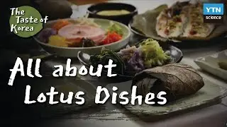 [The Taste of Korea] 03 Lotus Dishes, All about Lotus Flowers, Roots and Leaves (with Eng sub)