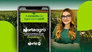 Norte Agro 11/01/2026
