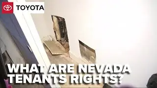 What are your rights as a Nevada tenant?