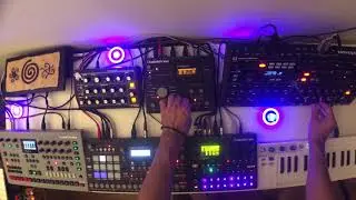 #11 Live Performance Elektron Digitakt | A4 | Rytm | Kronos I Peak I Moog Sub 37 I Minitaur