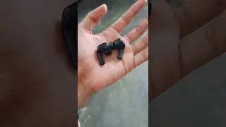 Boat 161 Earbuds Charging Problem ! Boat 161 Earbuds Not Charging Problem Solve #shorts.