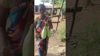 maharashtra relatives home tour #viralvideo #explore 🇨🇮