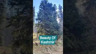 #BeautyOfKashmir #KashmirDiaries #HeavenOnEarth #KashmirValley #NatureLovers #TravelToKashmir