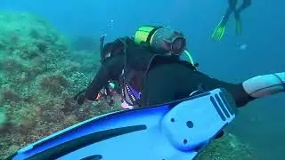Ayvalık Kerbela Dalış Noktası Kırmızı Mercan Prodivers