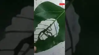Draw a picture of Rabindranath on the leaves of the tree. #art #robindranath #rabithakur #Worldpoet