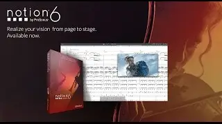 Introducing Notion 6