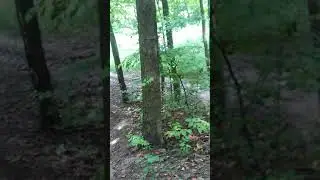 mudding at the pit 1996 Yamaha wolverine 350 4x4