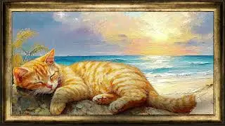 cat purring, ocean waves, and relaxing music 🎵 promote deep sleep & reduce anxiety