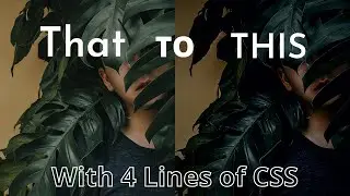 How To Reduce Opacity of Background image with CSS| frontendDUDE