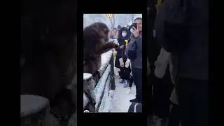 Fun with monkeys #funny #beautiful #music #amazing #animals