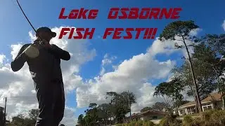 Lake Osborne in February of 2020!