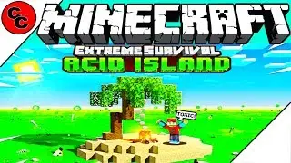 Minecraft: 
