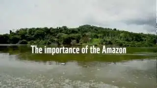The importance of the Amazon to the world