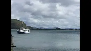 On Monarch wildlife cruise on Otago Peninsula