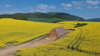 Yellow Spring - Slovakia