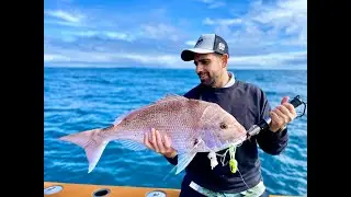 Another Day Offshore Fishing on Emad's New Preston Craft 1/6/20