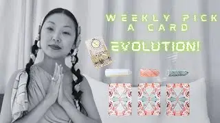 Pick a Card Tarot &ldquo;Step Into Your Evolution&rdquo;