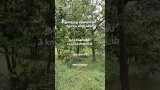 LOW PRICE | Coconut farm Sale | Nagercoil | Vellamadam | Kanyakumari | 1.68 Acer | 9894708317
