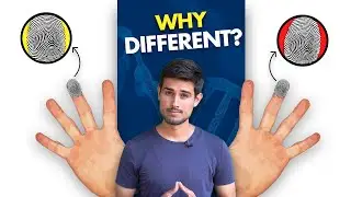 Why Fingerprints never Match?