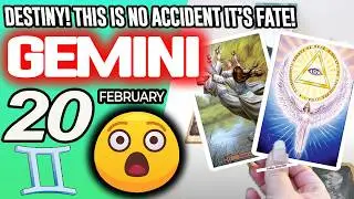 Gemini ♊😲DESTINY! THIS IS NO ACCIDENT IT&rsquo;S FATE!👀 horoscope for today FEBRUARY 20 2026 ♊ #gemini