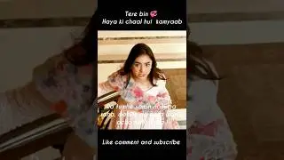 Tere bin 🌹😘 Haya ki  gandi chaal  😔 Meerab x Murtasim #shorts  #shortsfeed  #terebin