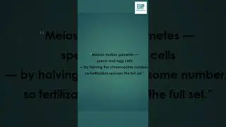 Cell Division &ndash; &ldquo;The 1 Line That Summarizes It All&rdquo;#awes2025 #mitosis vs meiosis #biologyrevision