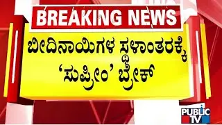 Supreme Court Stays Order To Round Up Stray Dogs, Bans Feeding In Public Areas