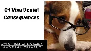 O1 Visa Denial Consequences