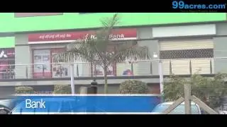 Sector 45-Gurgaon-L2459