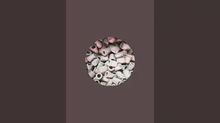 Dzire mud is live