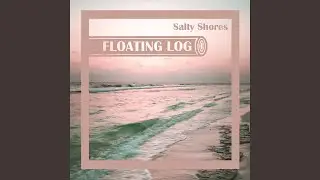 Salty Shores
