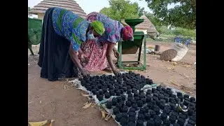 Empowering 100 Women in Ngora with Clean Energy Skills for Environmental Conservation.