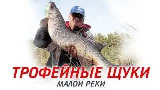 Щуки на большой джиг весной/ тест спиннинга Lucky John Black Sense BBS
