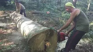 Dolmar PS-7300