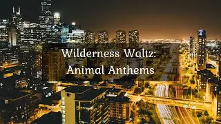 Wilderness Waltz: Animal Anthems &bull; 4k Video UltraHD