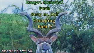 Kruger National Park - Berg en Dal Camping - Part 2