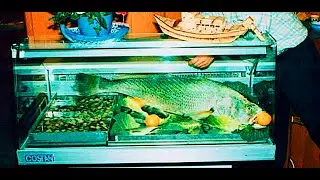 Wir lieben Fisch