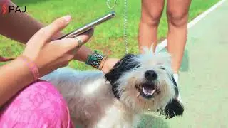 Эпизод 3🎬Поиск питомца! 🐶🐯 Поиск потерянного питомца с помощью PET Finder 4G #GPS 🧡 Истории PAJ