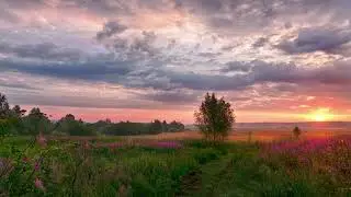 this is our last carefree summer (piano playlist)