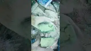 Dusty green #youtube