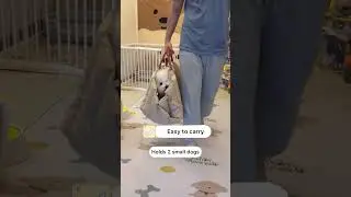 Portable Pet Carrier Bag for Dogs Cats China Manufacturer