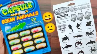 Growing capsule review in Tamil😀/கொஞ்சம் ஏமாதிட்டங்க 🙁/craft tamil
