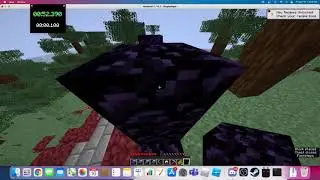 Minecraft 1.16 SSG Any% Glitchless 3:03