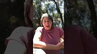Video Journal Week 1