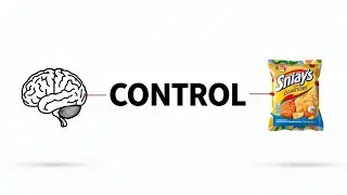Ultra-Processed Foods