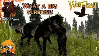 Я не мог поверить! | Wildfire Legacy, сезон 2, серия 34 | Wolfquest Bison Update