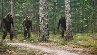 Wildlife Experts Analyze New Bigfoot Footage in Washington - What They Found Can't Be Explained