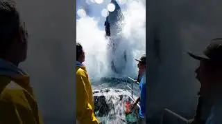 Insane Moment! Whale CRASHES Fishing Boat 😱🌊